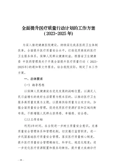 全面提升医疗质量行动计划工作方案