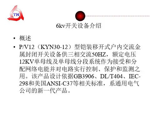 6kv开关设备介绍.pptx