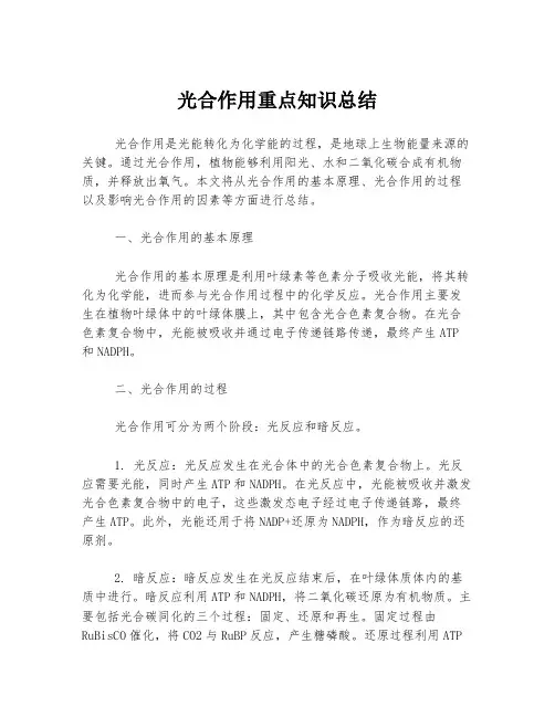 光合作用重点知识总结