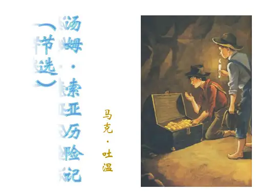 六年级下 汤姆·索亚历险记(节选)PPT