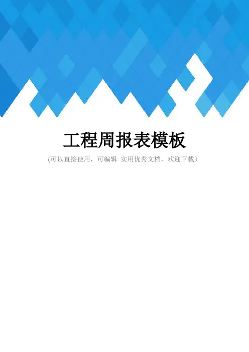 工程周报表模板完整