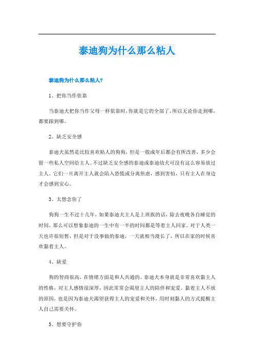 泰迪狗为什么那么粘人