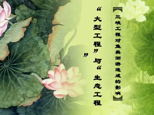 三峡工程对鱼类洄游造成的影响