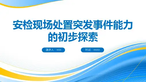 民航安全检查安全事故案例分析ppt