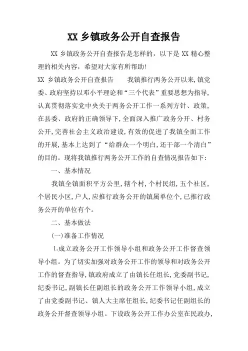 乡镇政务公开自查报告