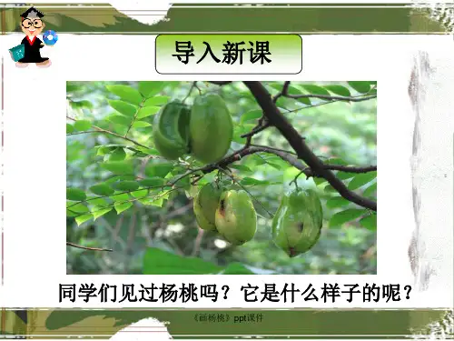 画杨桃ppt课件经典实用