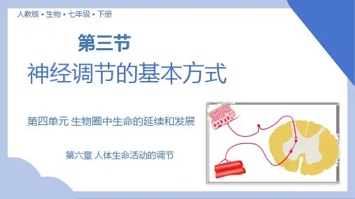 4.6.3神经调节的基本方式课件 (共29张PPT)人教版生物七年级下册.ppt