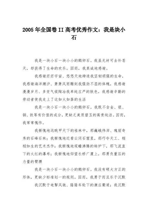 2005年全国卷II高考优秀作文：我是块小石