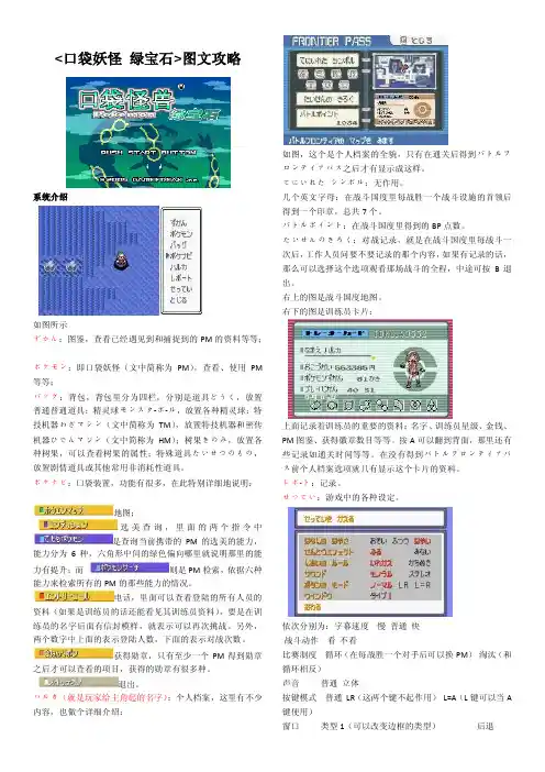 口袋妖怪绿宝石图文攻略