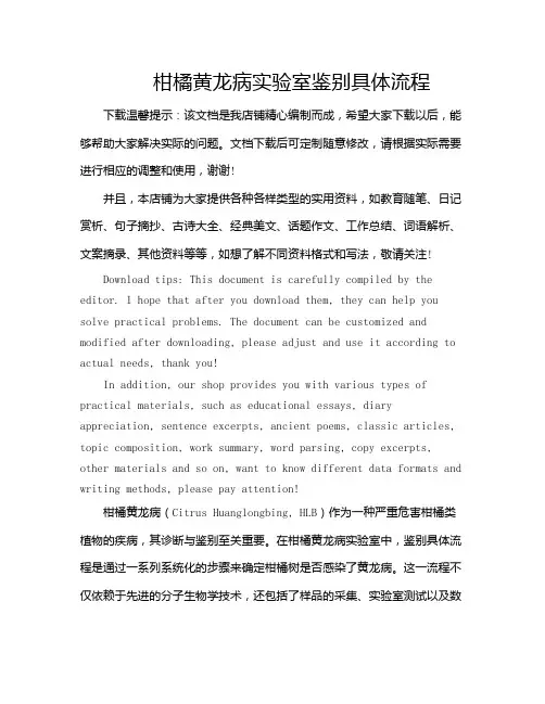 柑橘黄龙病实验室鉴别具体流程