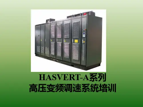 利德华福HASVERT-A系列变频器培训(技师培训)