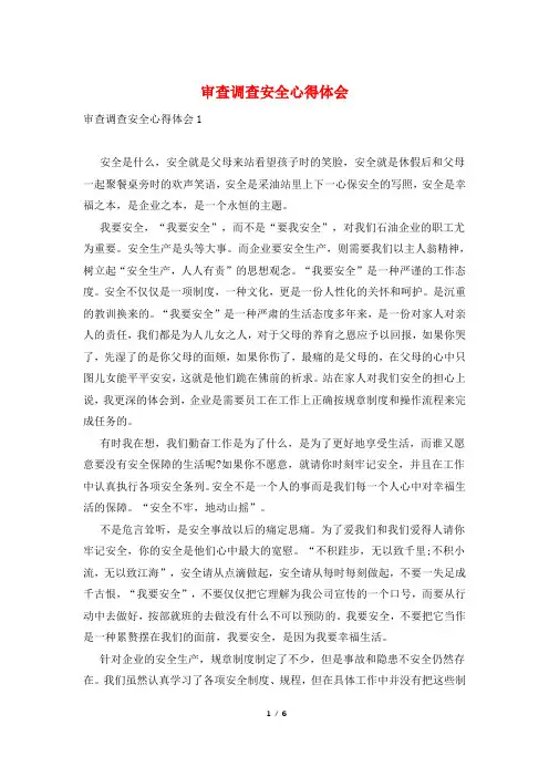 审查调查安全心得体会