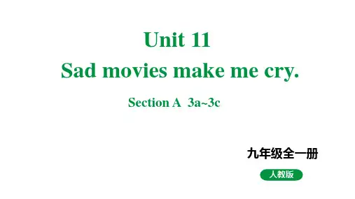 人教新目标版九全英语 Unit11 SectionA 3a~3c 教学课件