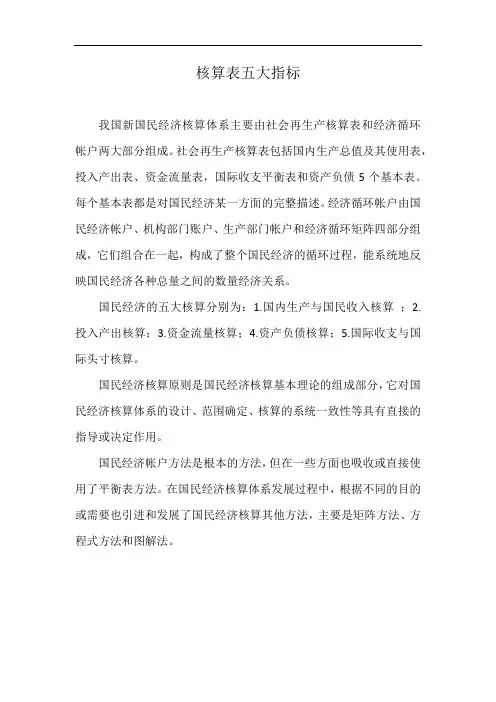 核算表五大指标
