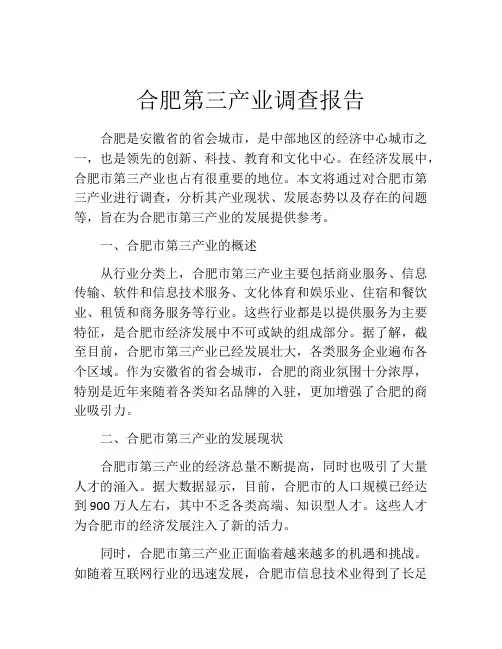 合肥第三产业调查报告