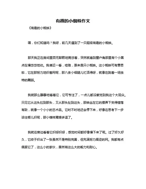 有趣的小蜘蛛作文