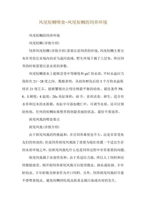 凤尾短鲷喂食-凤尾短鲷的饲养环境