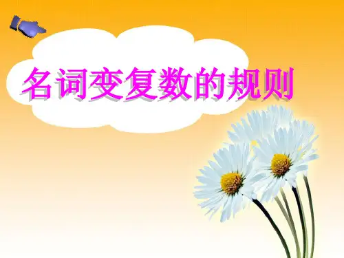 名词变复数的规则整体介绍PPT课件