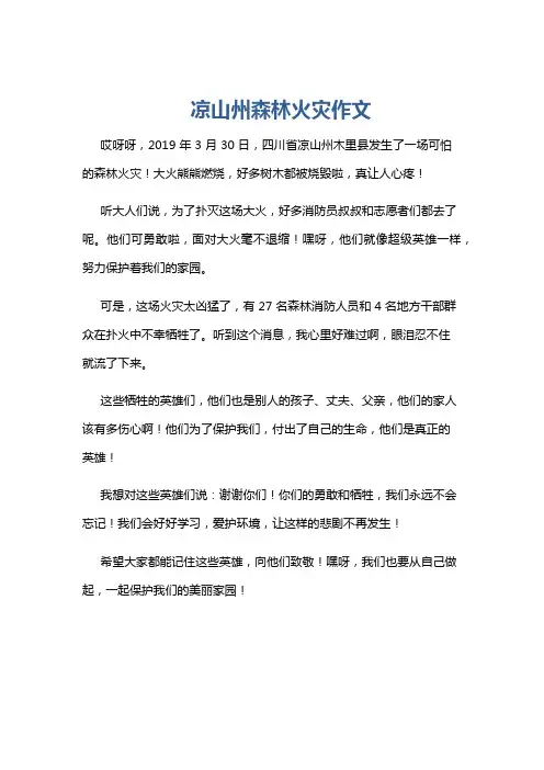 凉山州森林火灾作文