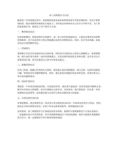 初三放寒假学习计划
