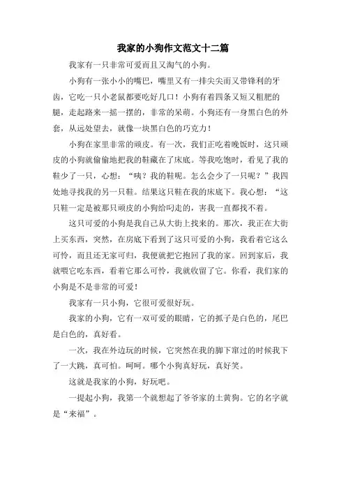 我家的小狗作文范文十二篇