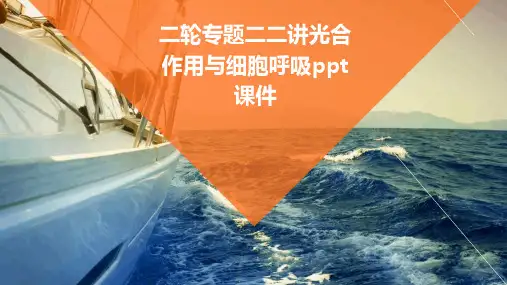 二轮专题二二讲光合作用与细胞呼吸PPT课件