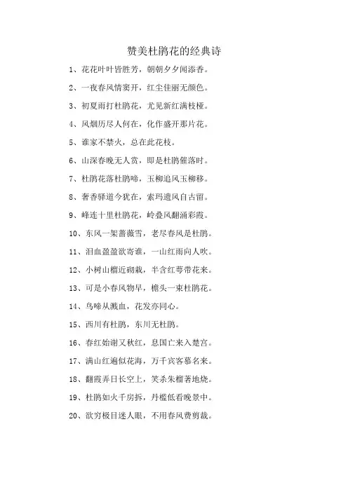 赞美杜鹃花的经典诗