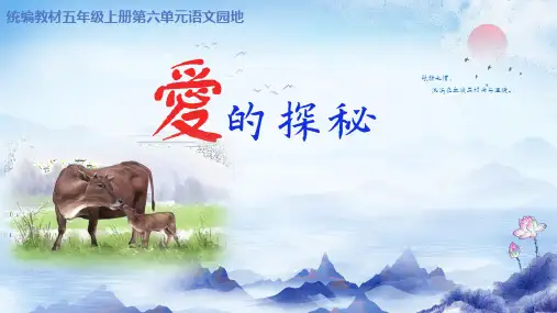 统编版语文五年级上册第六单元整体教学 课件(共17张PPT).ppt