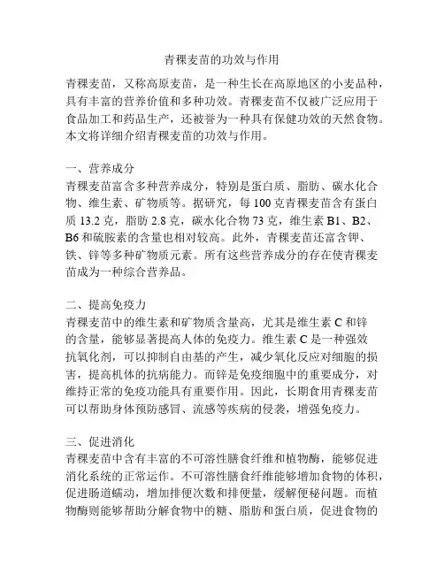 青稞麦苗的功效与作用