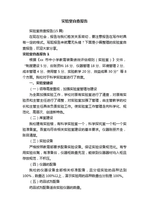 实验室自查报告（15篇）