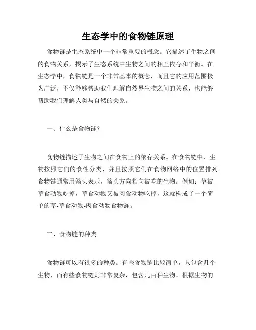 生态学中的食物链原理