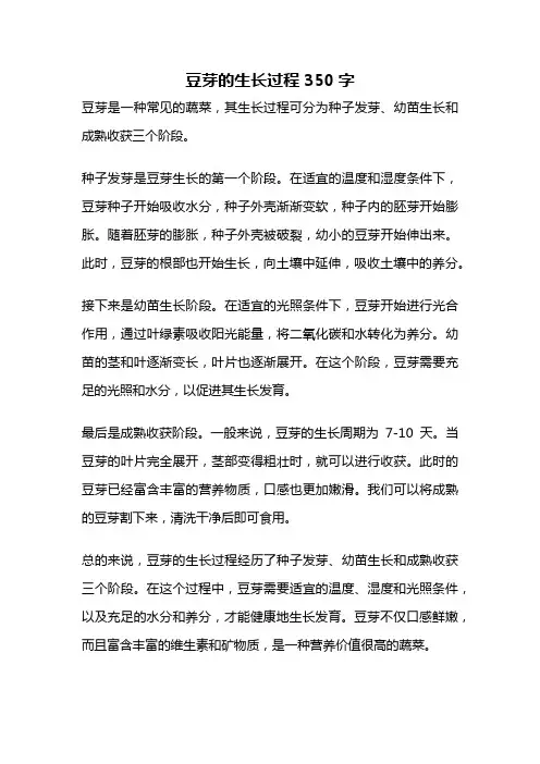 豆芽的生长过程350字