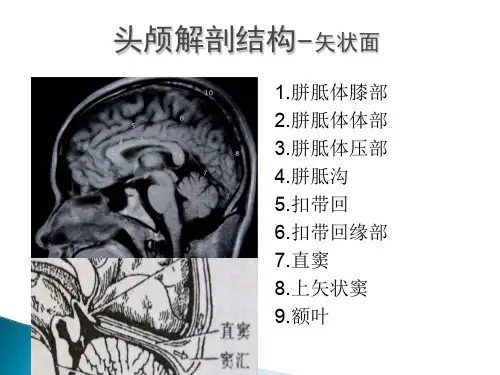 新生儿颅脑超声