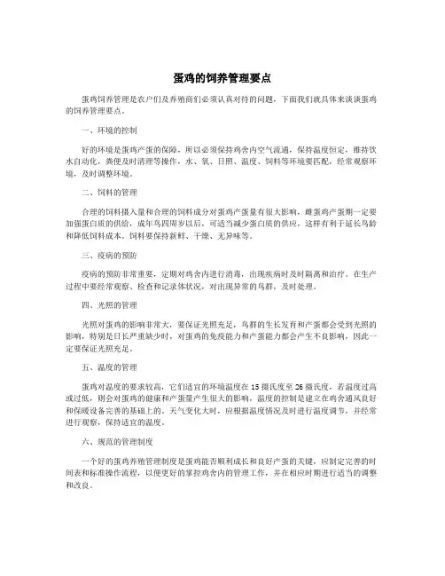 蛋鸡的饲养管理要点