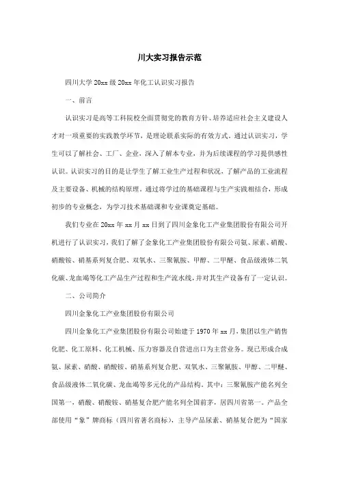 川大实习报告示范