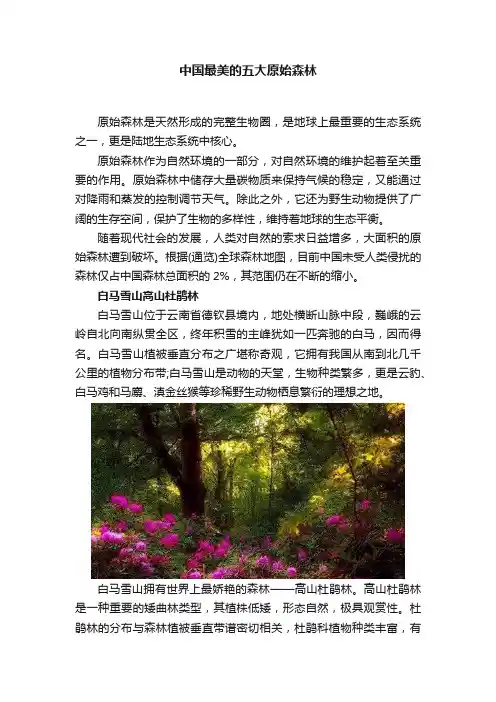 中国最美的五大原始森林