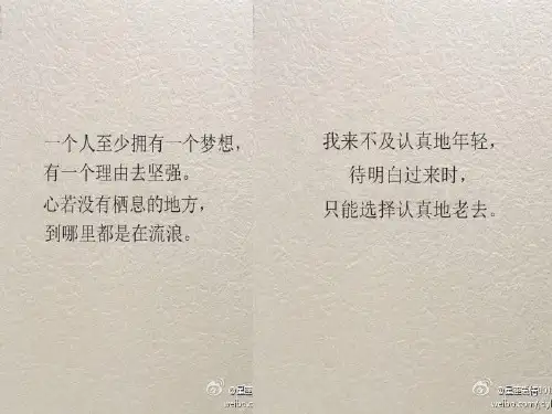 第八章 越轨行为与社会控制