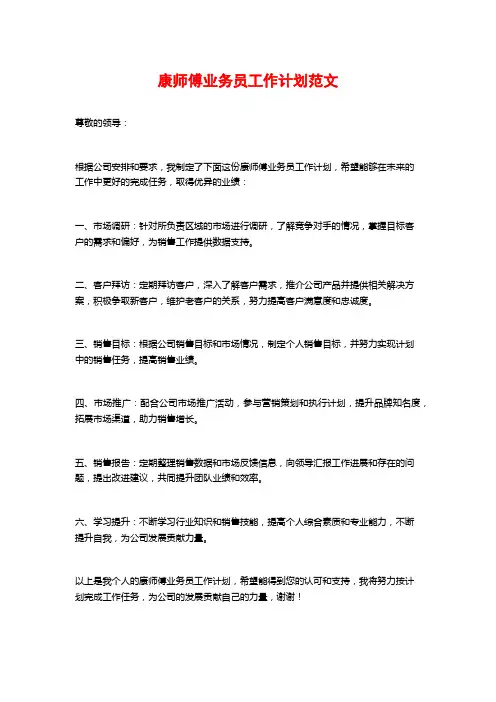 康师傅业务员工作计划范文