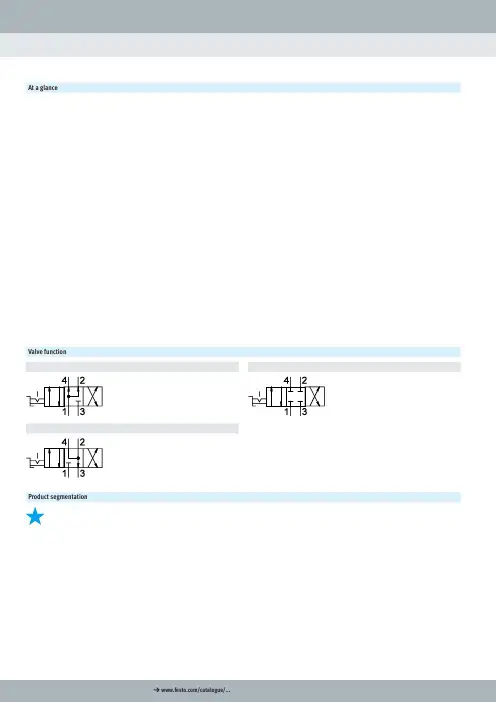 FESTO 产品目录.pdf_1705483892.3028948说明书