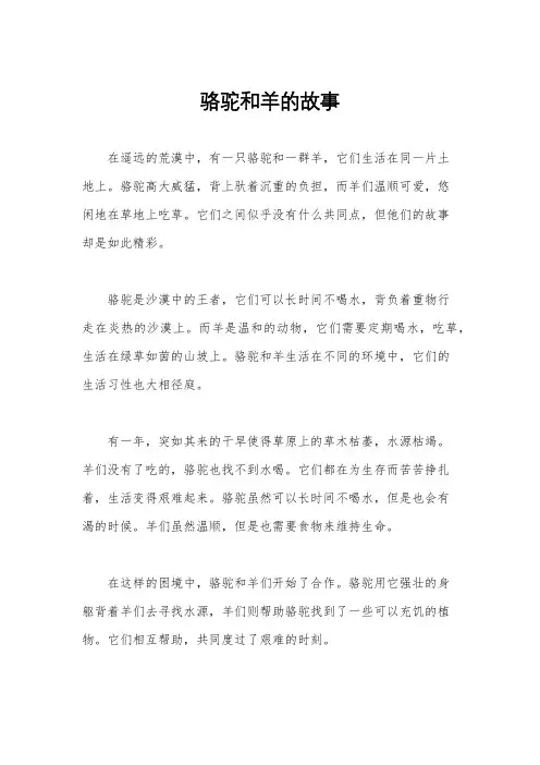 骆驼和羊的故事