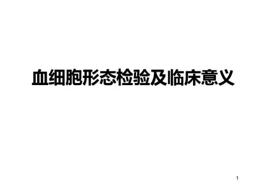 血细胞形态检验及临床意义课件