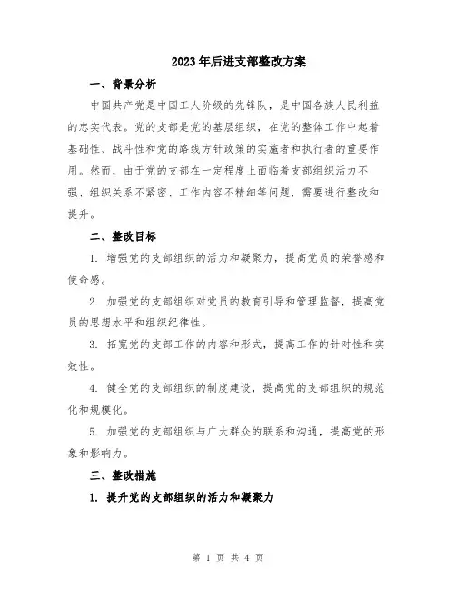 2023年后进支部整改方案