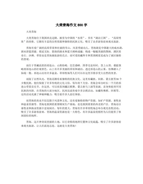 大美青海作文800字