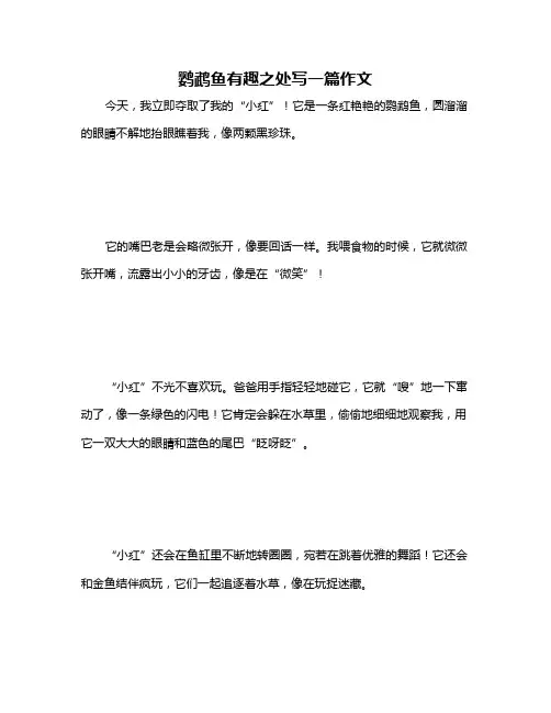 鹦鹉鱼有趣之处写一篇作文