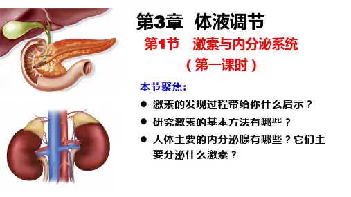 3.1 激素与内分泌系统(第一课时)高二生物课件(人教版2019选择性必修1)