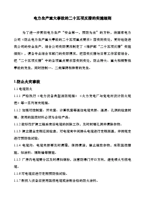 二十五项反事故措施实施细则