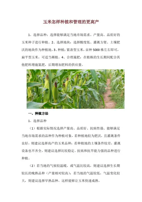玉米怎样种植和管理的更高产