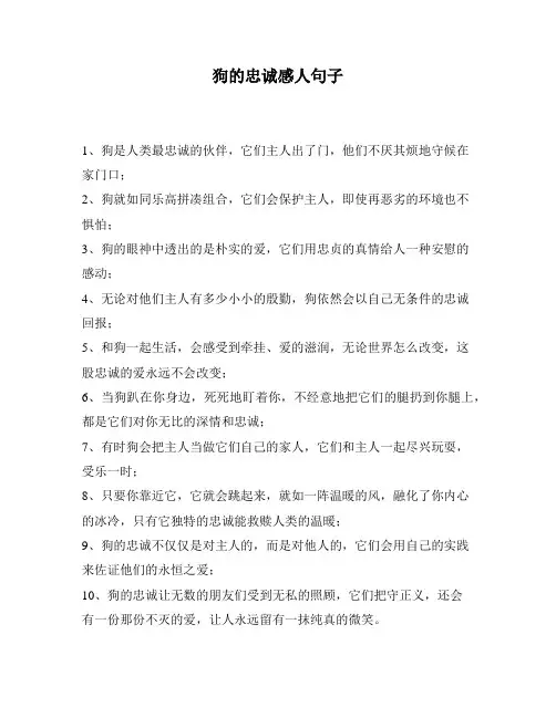 狗的忠诚感人句子