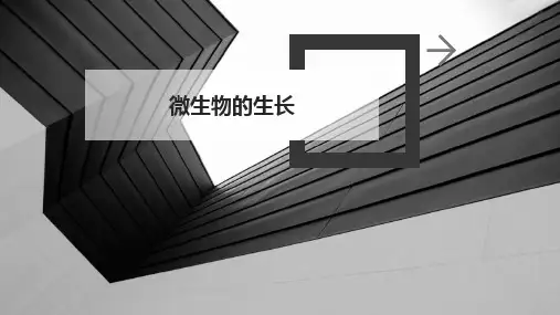 微生物的生长