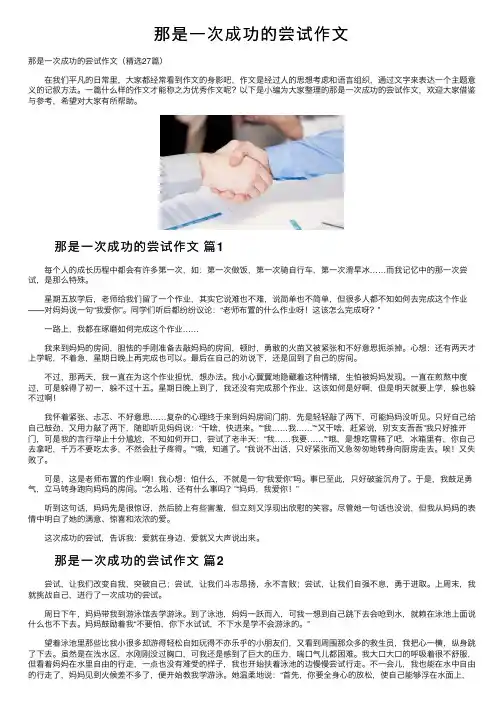 那是一次成功的尝试作文